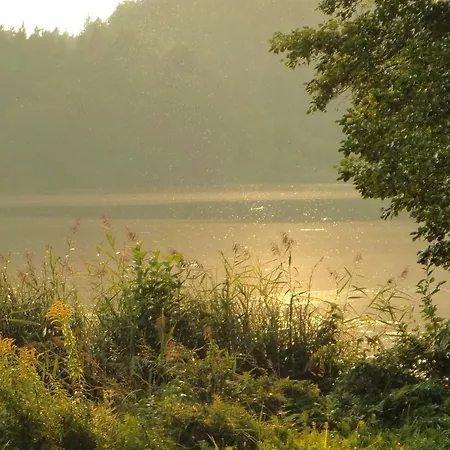Seerose-saissersee *
